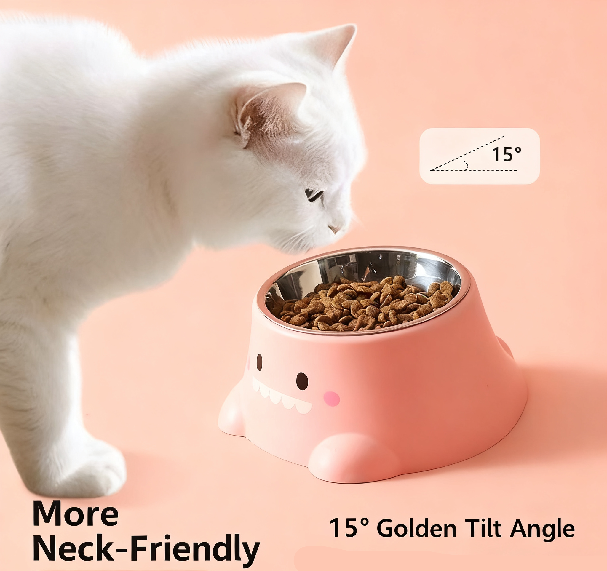 Stainless Steel Anti-Choke Bowl for Cats