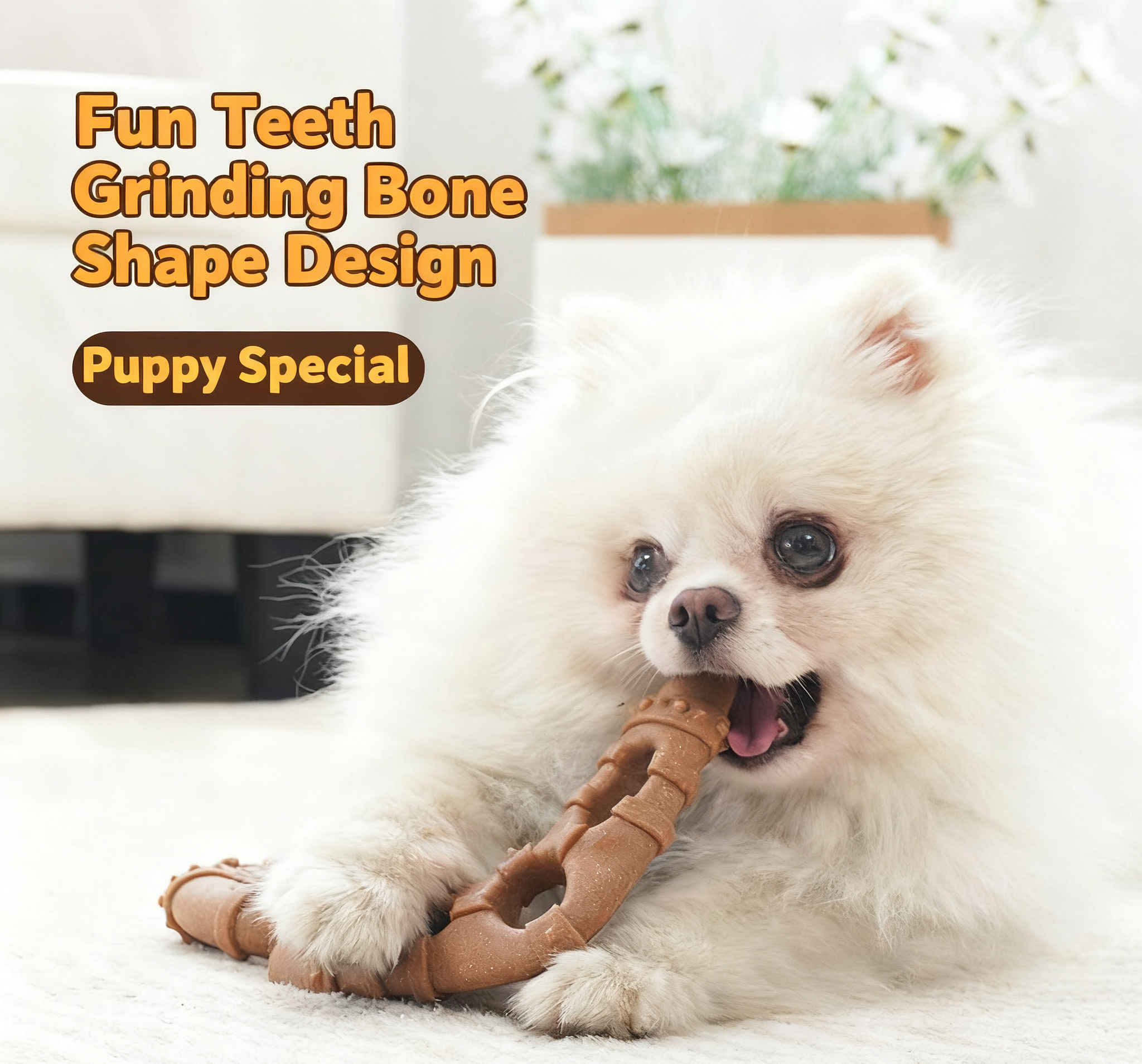 Popular Dog Dental Chew Bone, Tough & Long‑Lasting