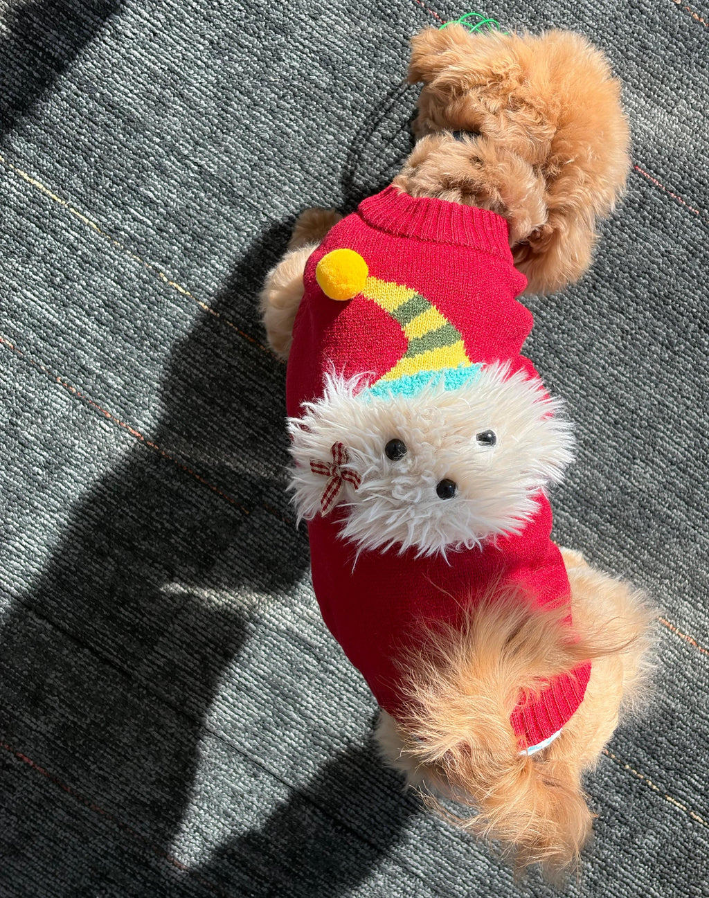 Christmas Dog Outfit