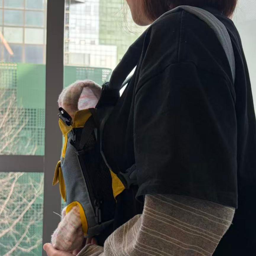 PawRider Chest Pet Backpack