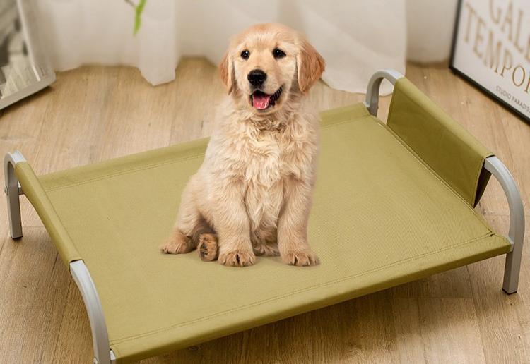 Elevated Portable Pet Cot Bed, Washable Metal Frame Dog Cat Bed