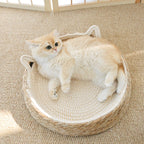 Woven Rattan Cat Bed, Chew-Resistant Scratcher Bed, All-Season Pet Nest