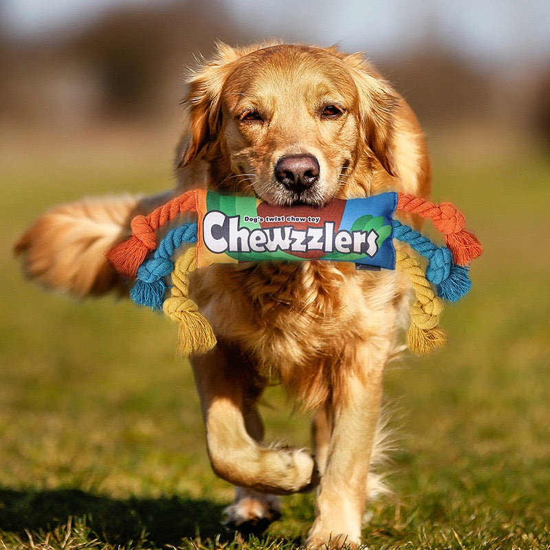 Rainbow Twisted Candy Dog Toy, Squeaky Durable Chew Toy