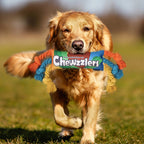 Rainbow Twisted Candy Dog Toy, Squeaky Durable Chew Toy