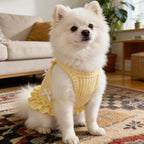 Spring Summer Thin Dog Vest, Breathable Cat Clothes, Hair Loss Prevention, Teddy & Small Dogs Suspender Dress
