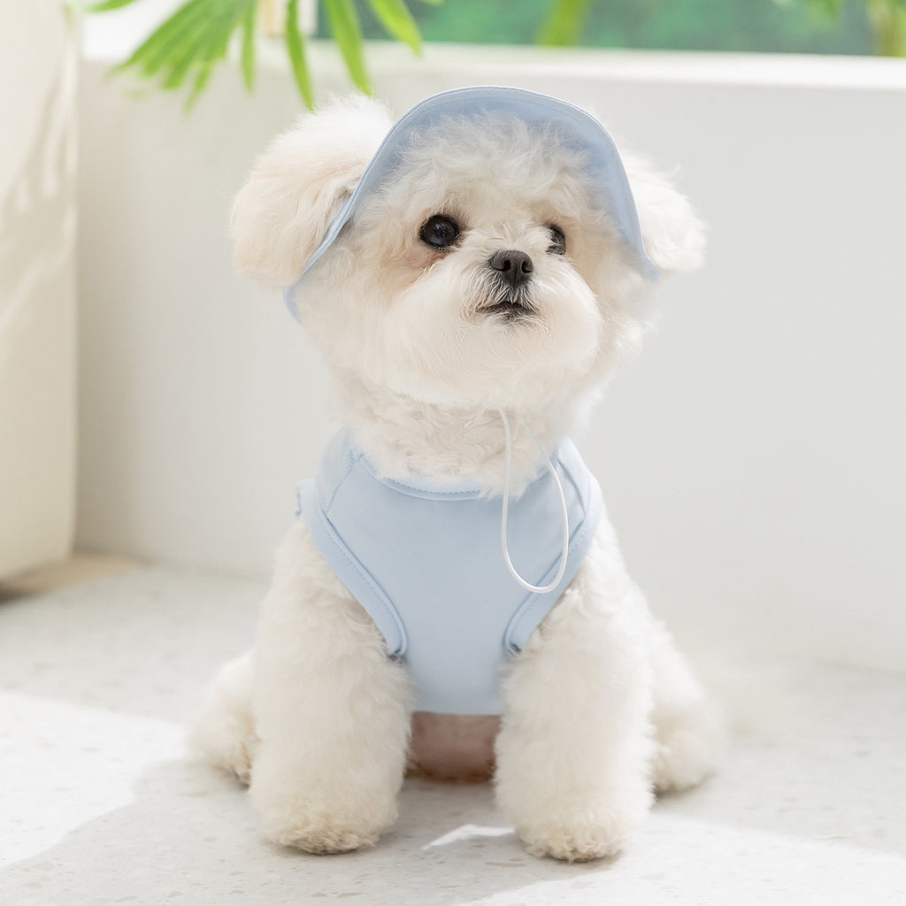 Spring & Summer Dog Clothes, Outdoor Sun Protection Hooded Cooling Vest, Breathable Thin Style for Small Dogs