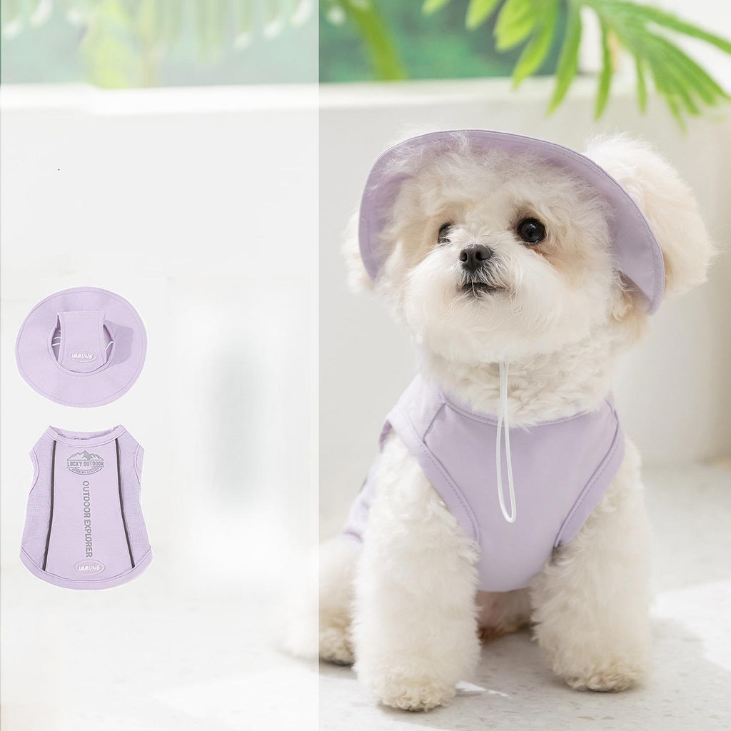 Spring & Summer Dog Clothes, Outdoor Sun Protection Hooded Cooling Vest, Breathable Thin Style for Small Dogs