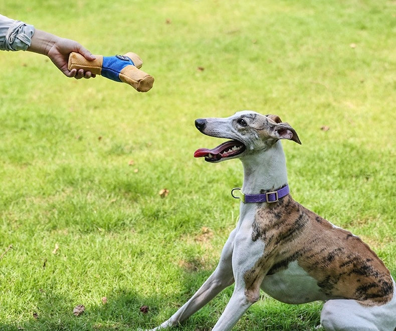 Pet Triangle Frisbee Toy, Wear Dirt Bite Resistant Squeaky Interactive Flying Disc, Boredom Relief Dog Play Toy