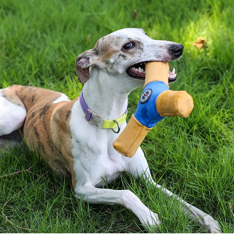 Pet Triangle Frisbee Toy, Wear Dirt Bite Resistant Squeaky Interactive Flying Disc, Boredom Relief Dog Play Toy