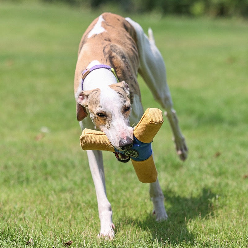 Pet Triangle Frisbee Toy, Wear Dirt Bite Resistant Squeaky Interactive Flying Disc, Boredom Relief Dog Play Toy