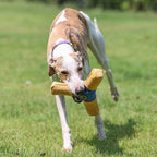 Pet Triangle Frisbee Toy, Wear Dirt Bite Resistant Squeaky Interactive Flying Disc, Boredom Relief Dog Play Toy