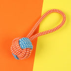 Dog Chew Toys, Interactive Pet Toys for Small Dogs Teddy Bichon Pomeranian