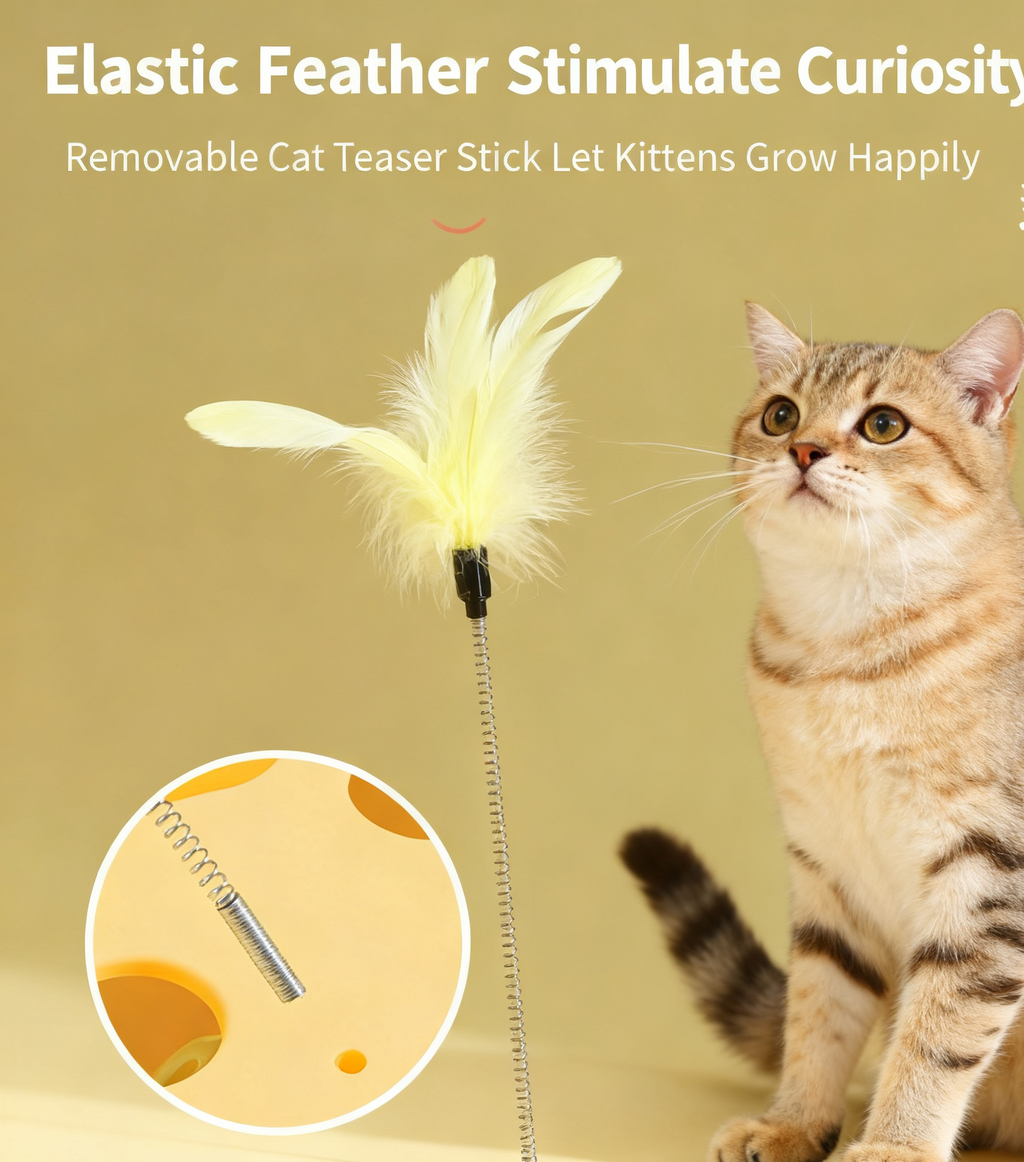 Cat Teaser Wand with Feathers & Bells, Self‑Play Toy