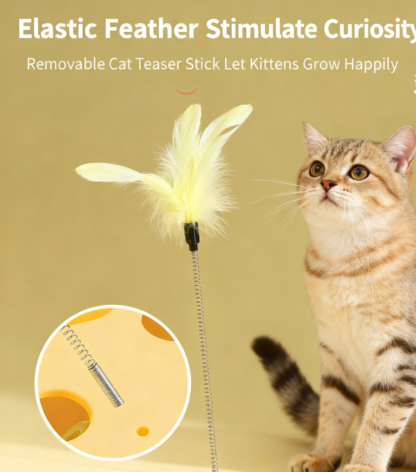 Cat Teaser Wand with Feathers & Bells, Self‑Play Toy