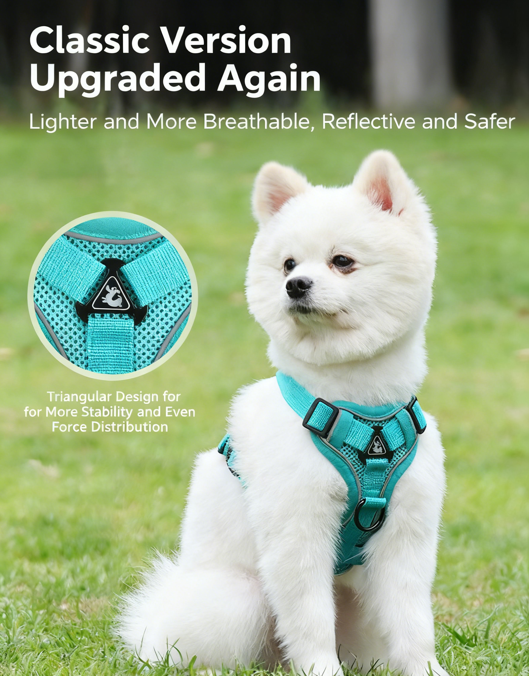 Reflective Breathable Pet Harness Vest Leash for Dogs and Cats