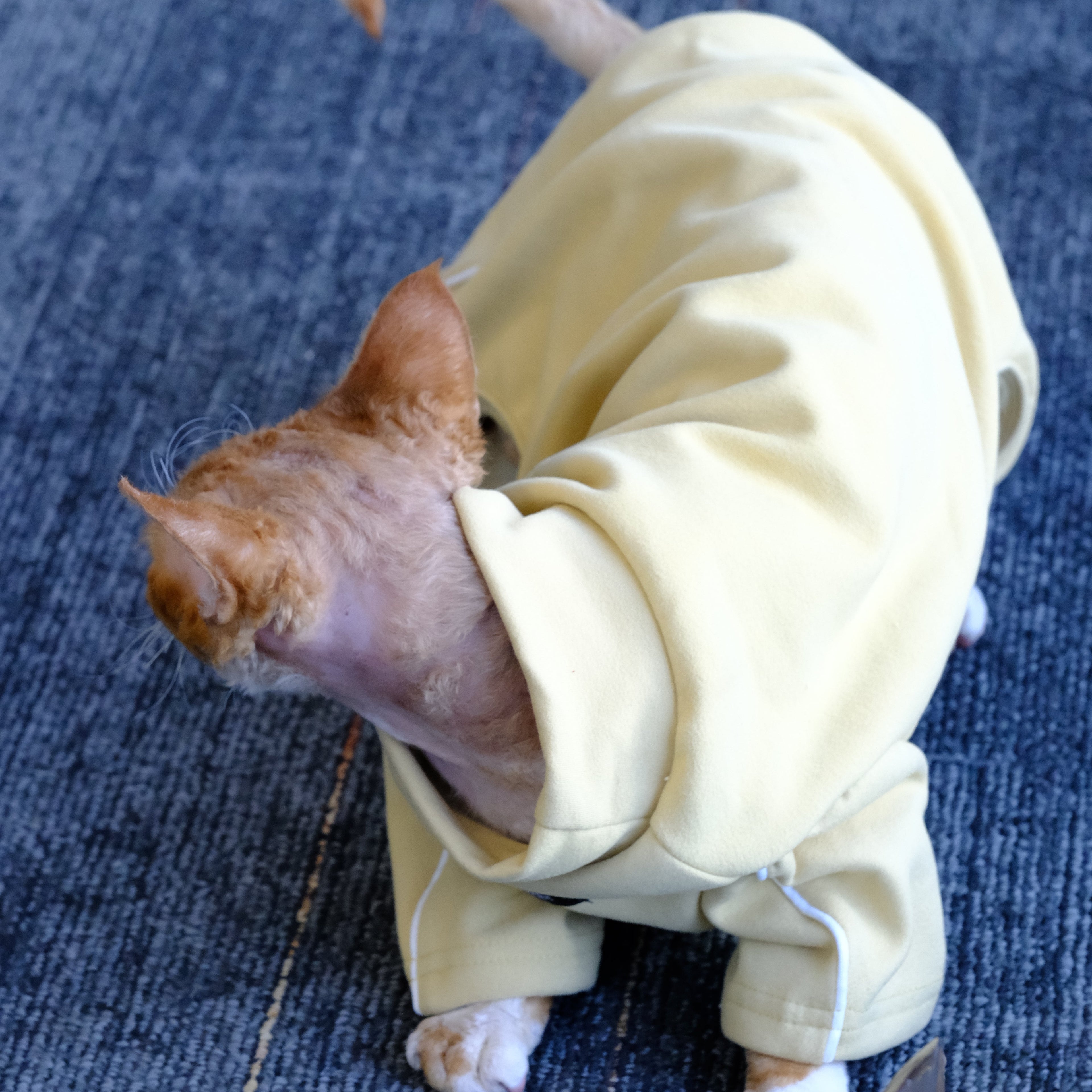 Pet Cat & Dog Warm Legged Bodysuit