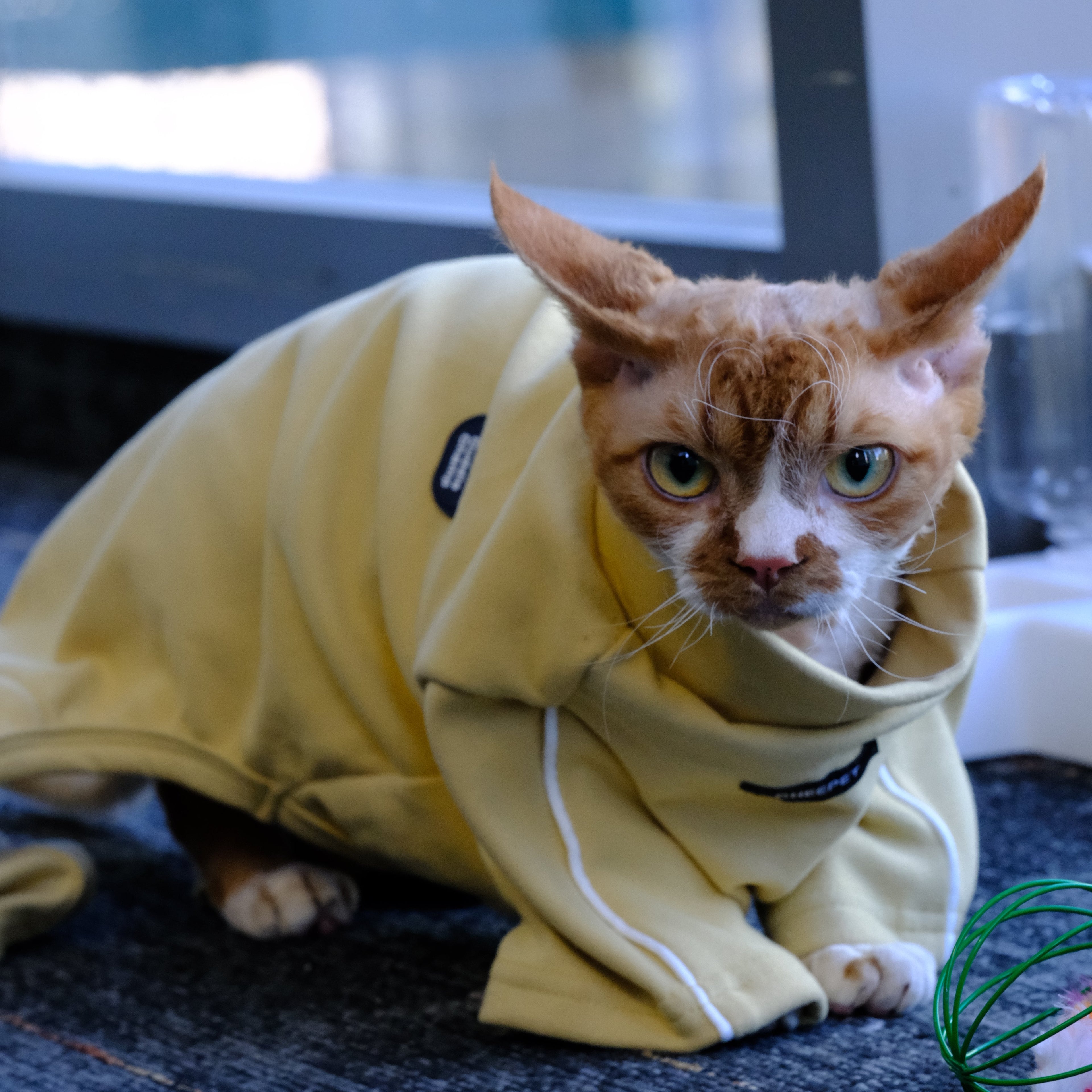 Pet Cat & Dog Warm Legged Bodysuit