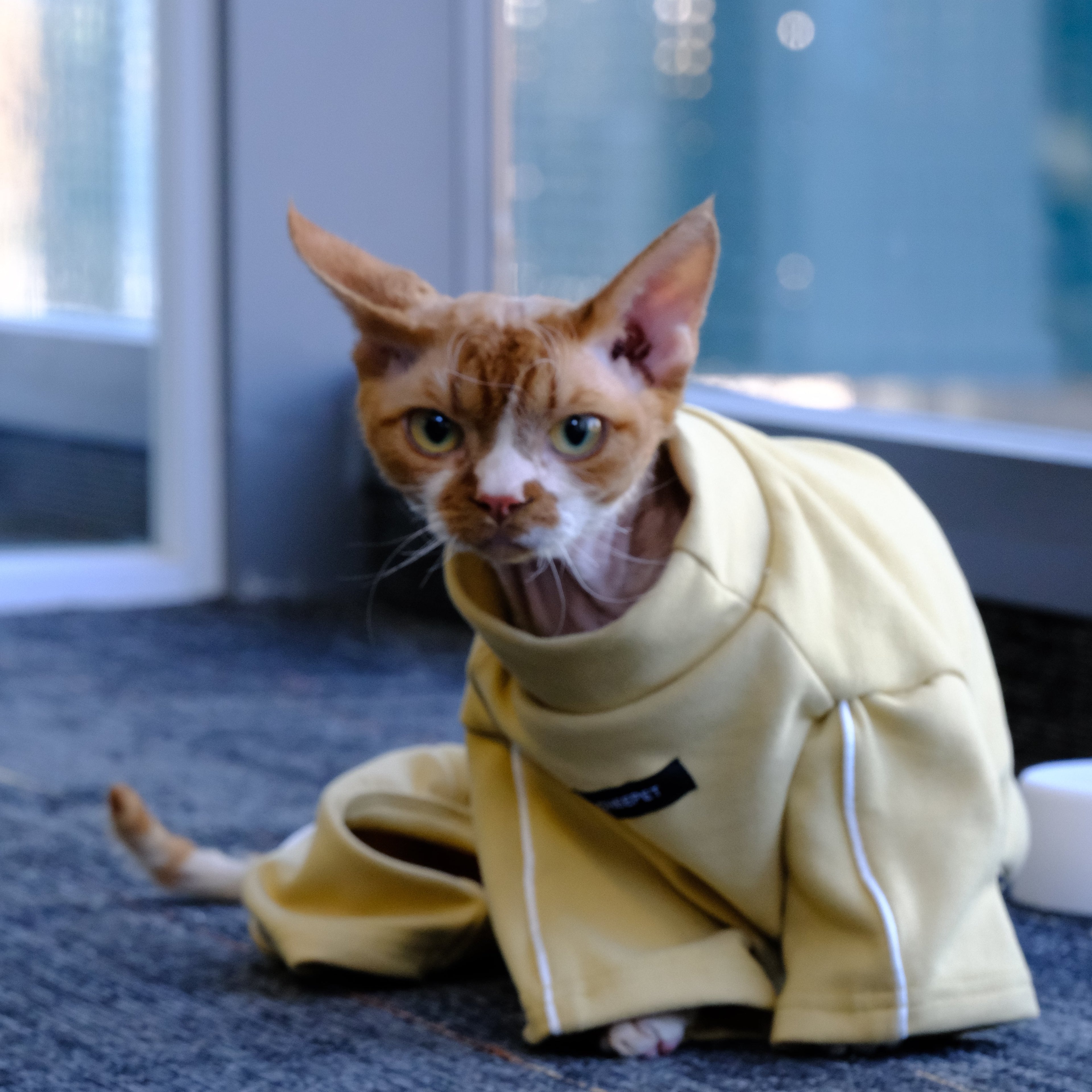 Pet Cat & Dog Warm Legged Bodysuit