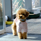 Pet Dog Daily Simple Towel Fleece Two-Legged Base Layer