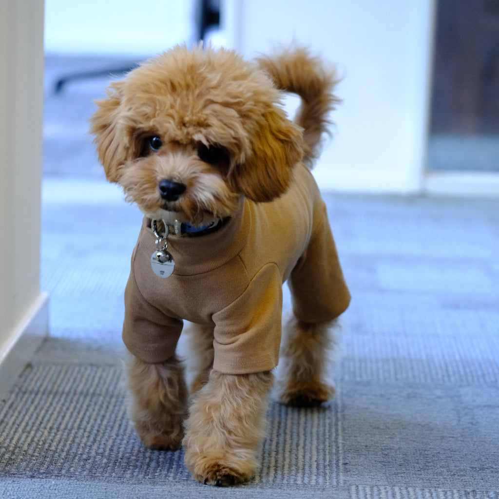 Brown Warm Four-legged Pet Dog Coat