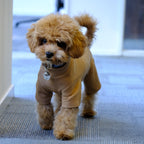 Brown Warm Four-legged Pet Dog Coat