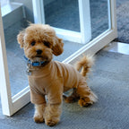 Brown Warm Four-legged Pet Dog Coat