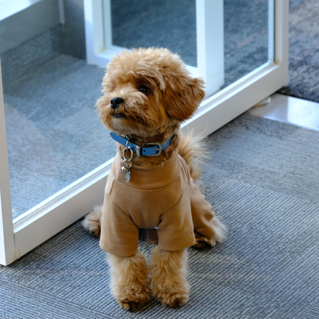 Brown Warm Four-legged Pet Dog Coat