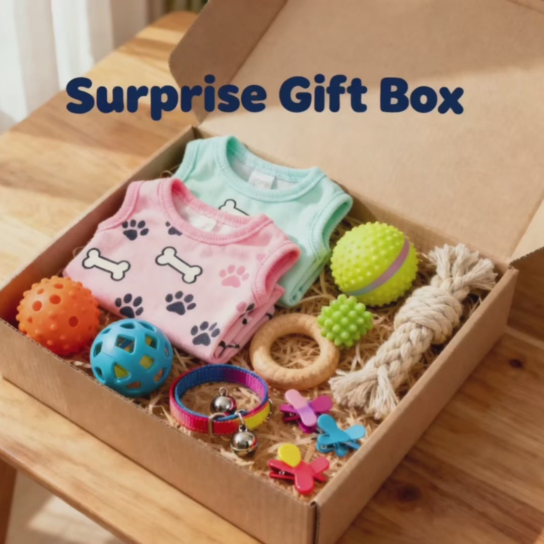Pet Surprise Blind Box